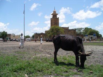 A market town of the South Sudanese Nile