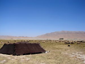 The pastoral world of cattle, through which the Nuer worship the sky-god Kwoth