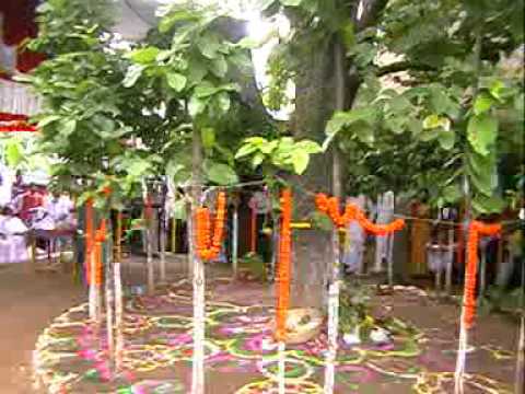 The Karam festival, a great celebration of the Oraon