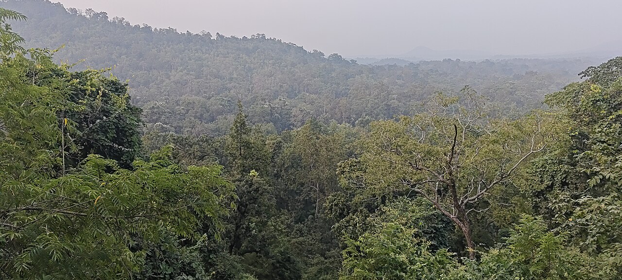 The forested plateau of Jharkhand, homeland of the Oraon