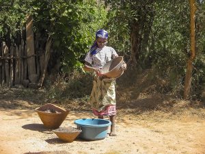 Winnowing grain in Angola; the Ovimbundu are above all highland farmers.