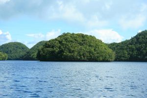 Islands Water