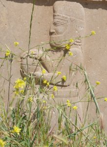 The great terrace and ruined columns of Persepolis in Iran.