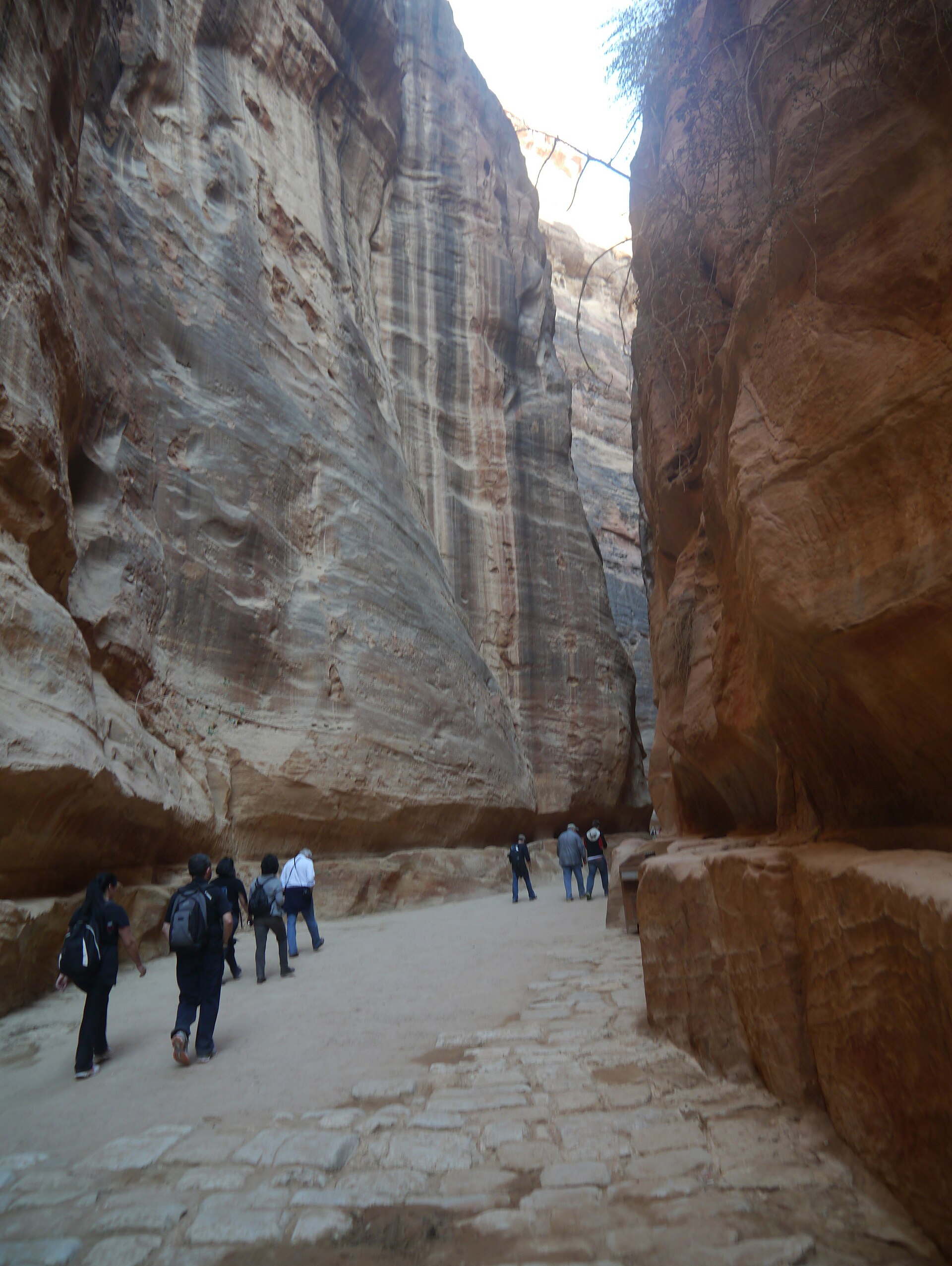 The Siq, the narrow winding gorge that forms the dramatic entrance to Petra.
