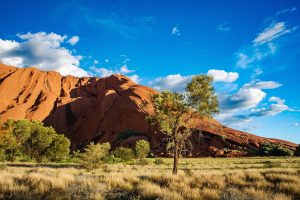 desert landscape central australia