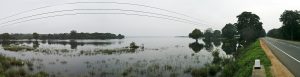 The vast reservoir known as the Sea of Parakrama beside Polonnaruwa.
