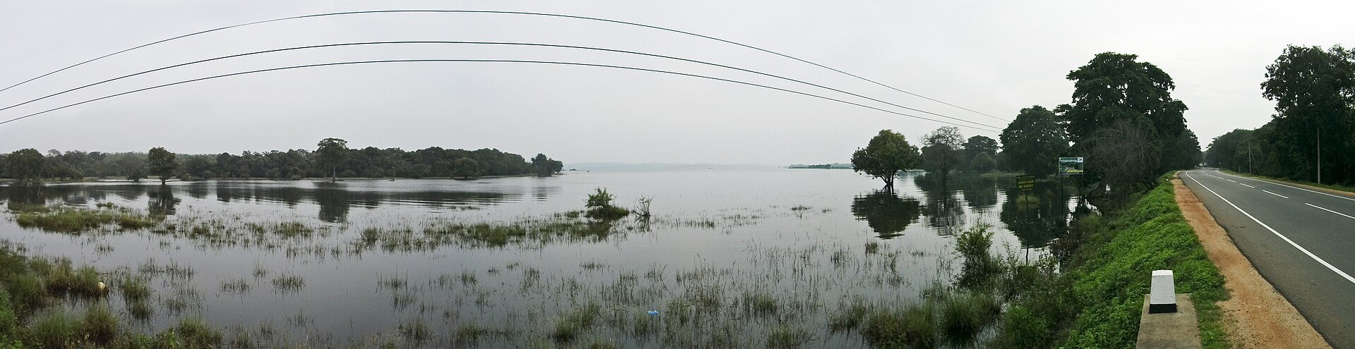 The vast reservoir known as the Sea of Parakrama beside Polonnaruwa.