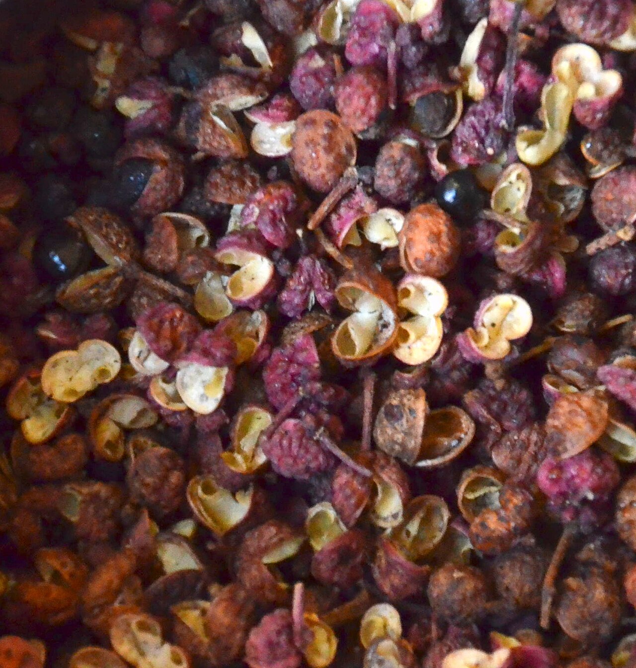 Sichuan pepper of the Qiang country