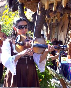A Romani musician