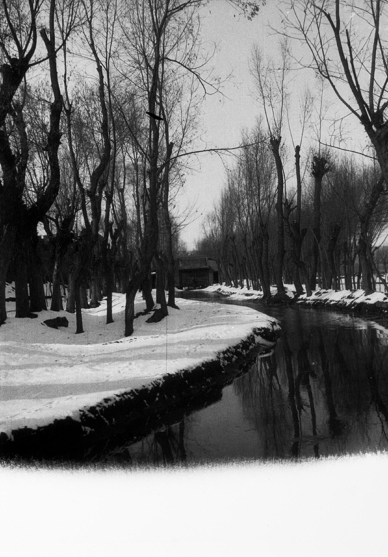 A Salar Muslim settlement near Jishi, 1932