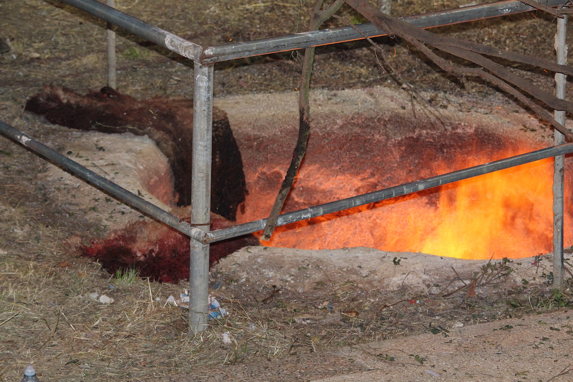 The Samaritan Passover sacrifice on Mount Gerizim, performed as in ancient times.