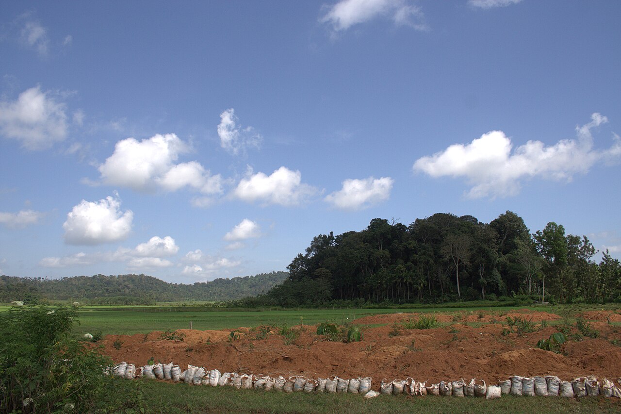 A sacred grove; the Santhal traditional religion, Sarna, venerates such groves