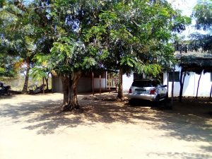 A house at Caia in the Sena country of the lower Zambezi.
