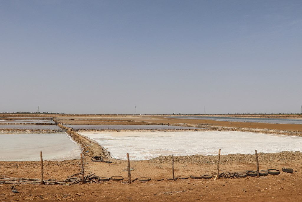 The salt flats and river at Fatick, in the Serer country today.
