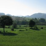 The rolling Shan Hills of eastern Myanmar, homeland of the Shan