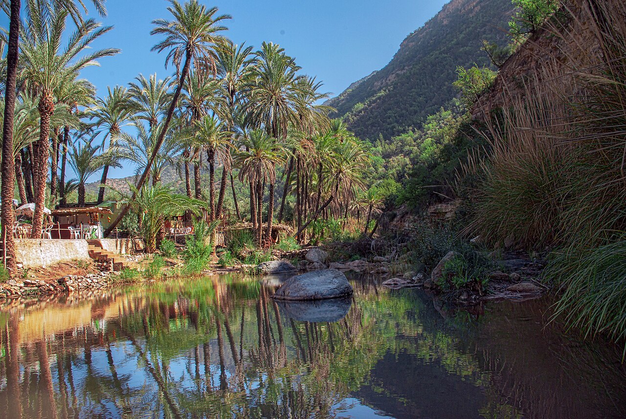 The Paradise Valley of the Souss, in the Shilha homeland of southern Morocco.