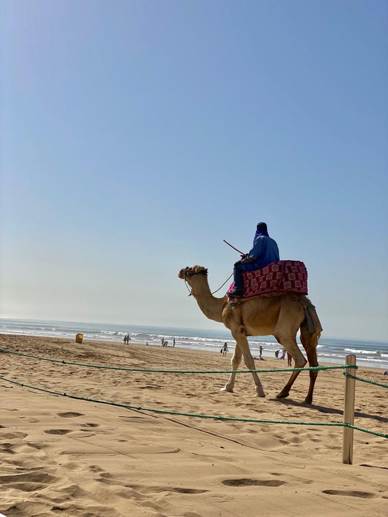 The beach at Agadir, the modern city of the Shilha country.