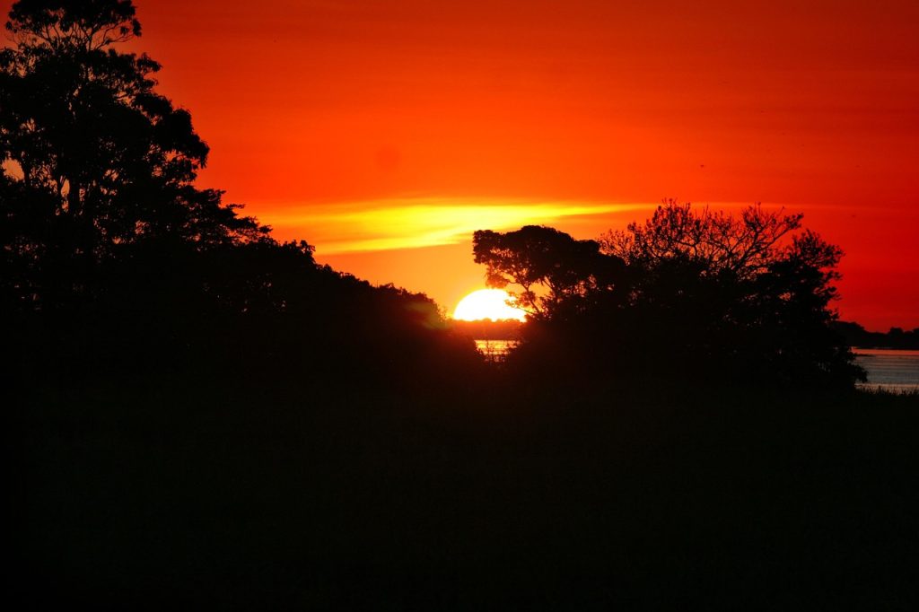 Amazonia Sunset