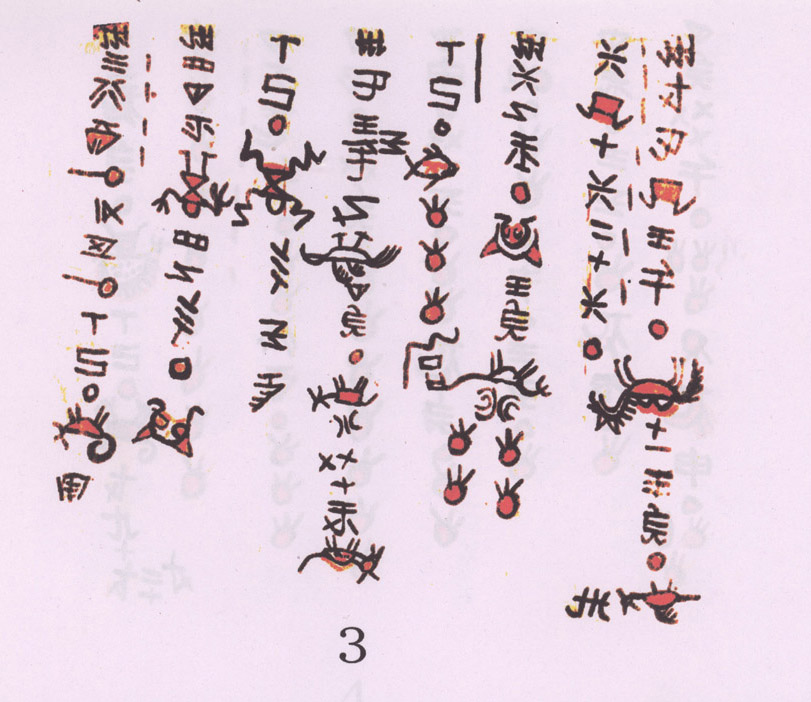 A page of an old Shui book