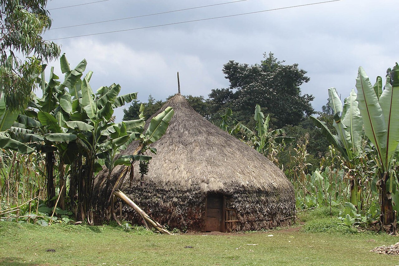 A Sidama person; the people speak Sidaamu Afoo, a Highland East Cushitic language.