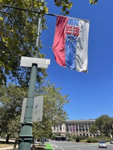 The Slovak flag
