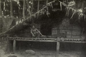A traditional Solomon Islands house; islanders live by gardening and fishing.