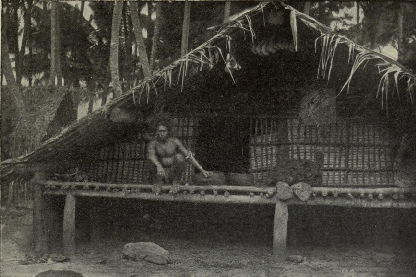 A traditional Solomon Islands house; islanders live by gardening and fishing.