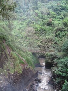 The green highlands of West Java, the Sundanese homeland