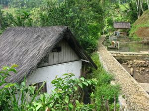 The traditional village community of Kampung Naga