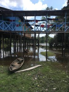 Amazonia Amazon