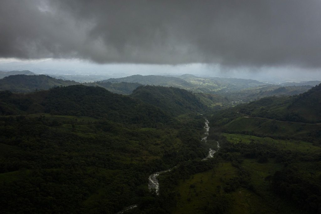 Amazon Indigenous