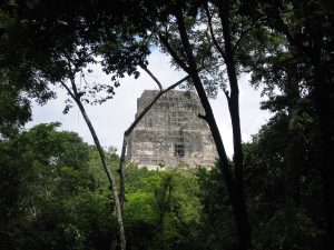 The temples of Tikal emerging from the surrounding jungle of the Petén