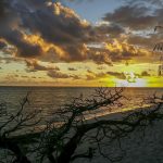 tropical island reef northern australia
