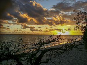 tropical island reef northern australia