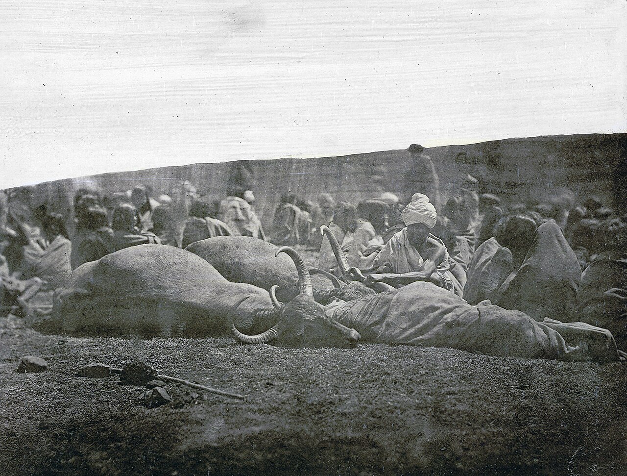 A Toda funeral ceremony, a great ritual occasion of the tribe