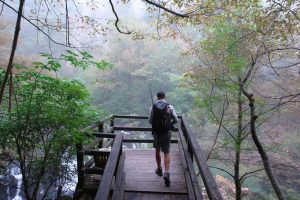 Fisherman Misty Morning photo and picture
