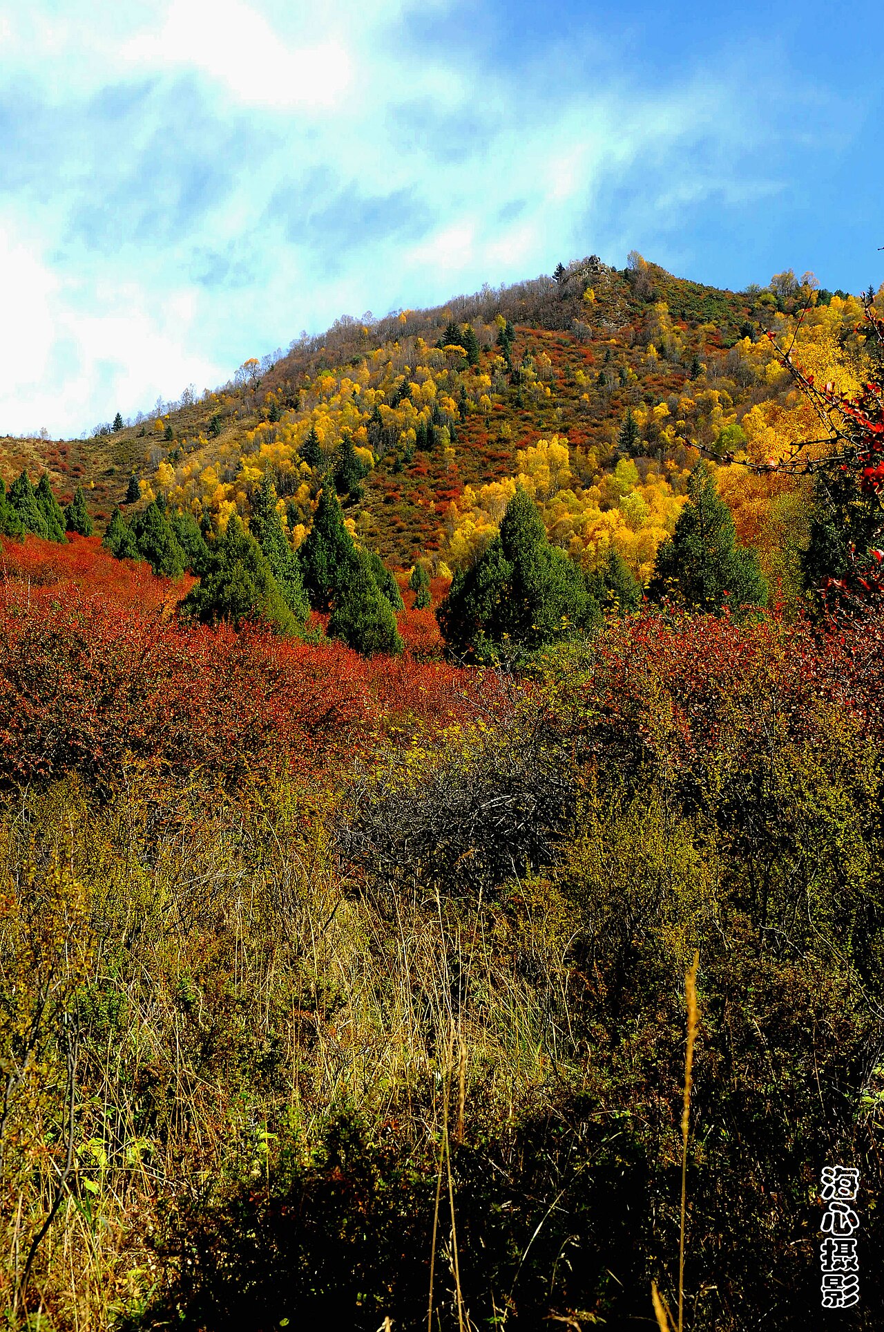 The Tu country of Huzhu in Qinghai