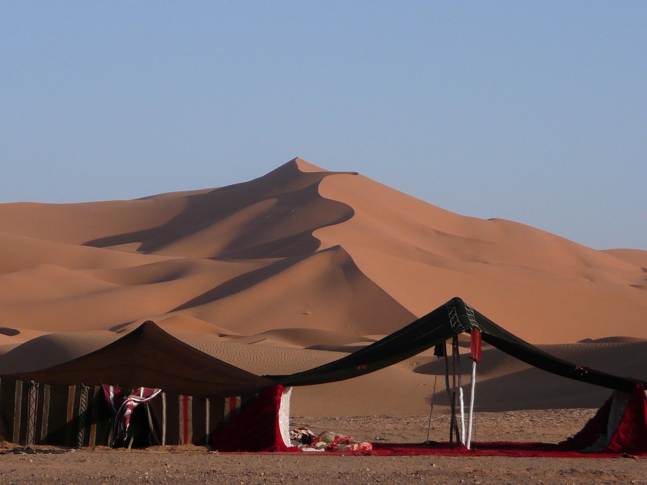 Desert Camp