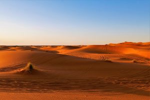 Desert Africa