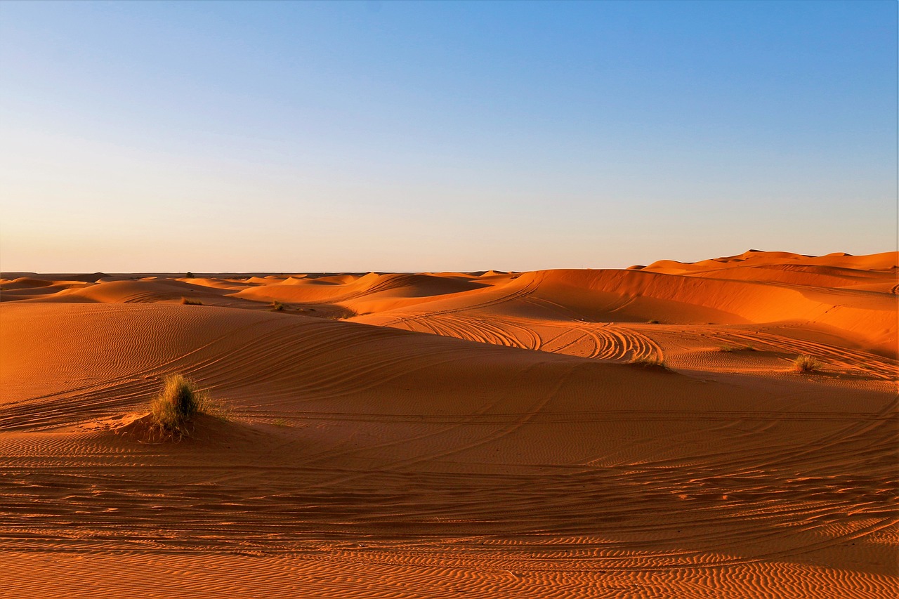 Desert Africa