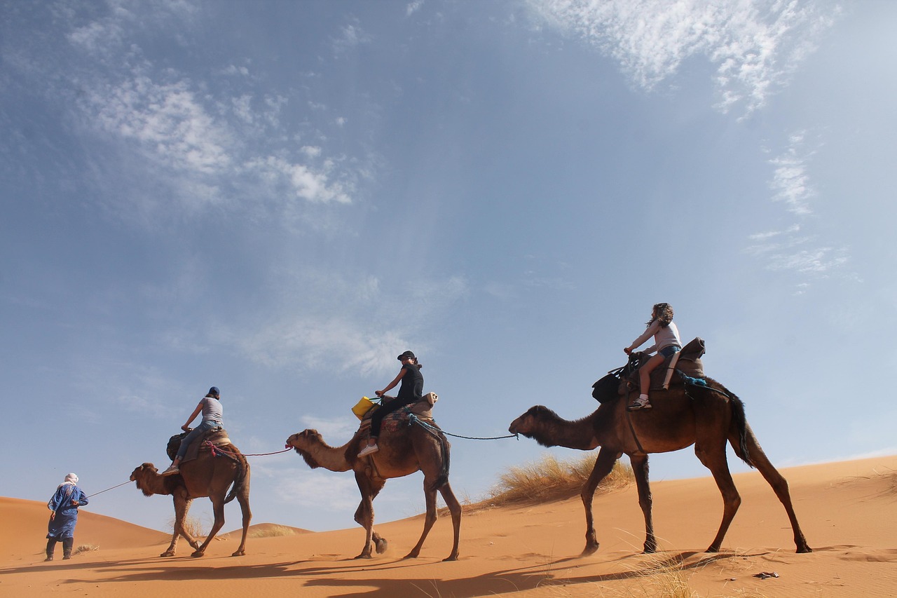 Desert Sahara