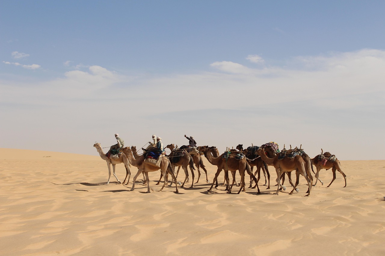 Caravan Desert