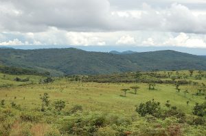 The Nyika plateau of northern Malawi, part of the Tumbuka homeland.