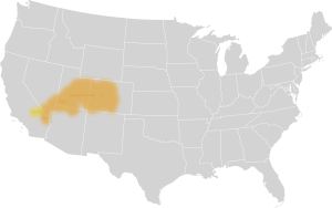 The range of the Southern Numic languages, including Ute.
