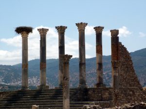 The columns of the Capitol at Volubilis.