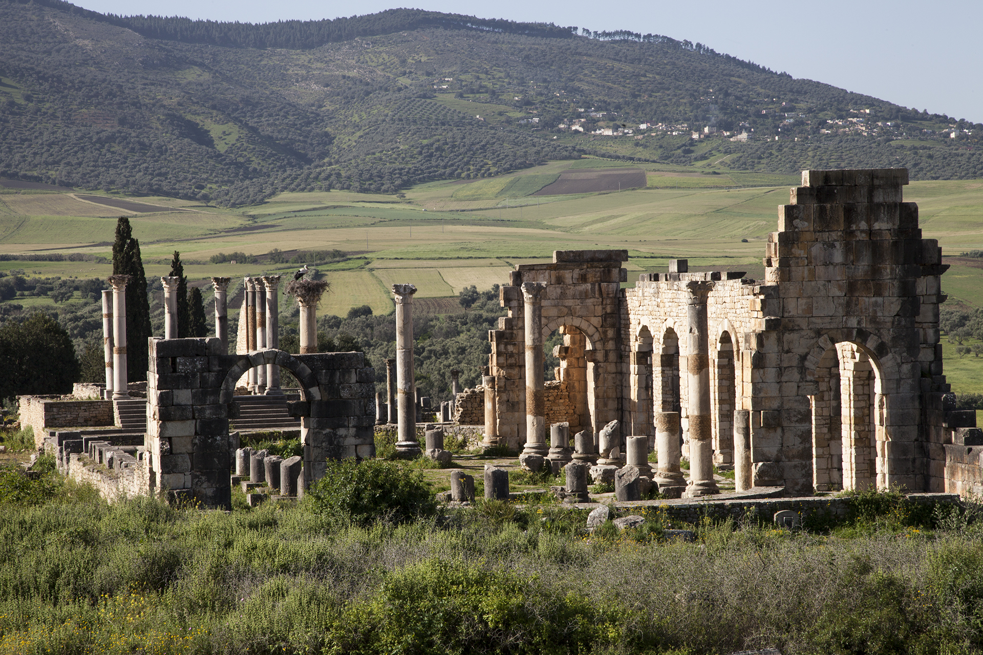 Standing columns among the ruins of Volubilis, often topped by storks' nests.