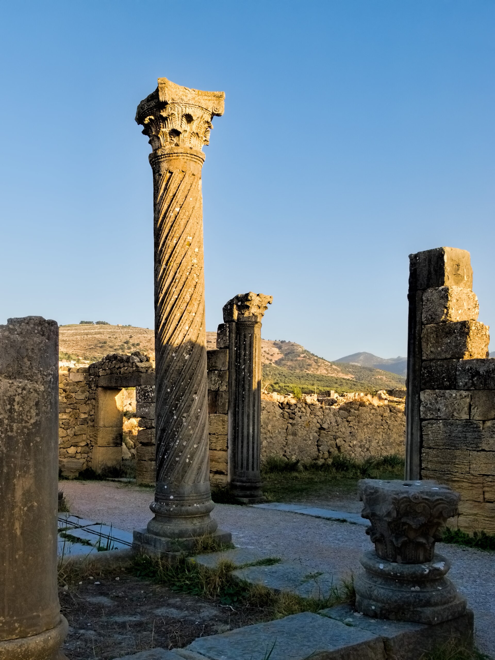 The colonnaded main street of Volubilis, the Decumanus Maximus.