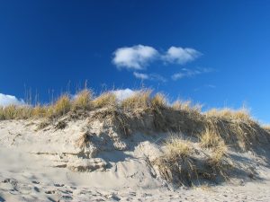 The shore of Cape Cod, part of the Wampanoag homeland.