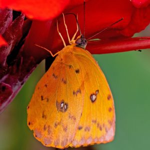 Ecuador Rainforest