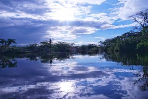 Amazonia Ecuador